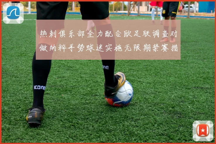 热刺俱乐部全力配合欧足联调查对做纳粹手势球迷实施无限期禁赛措施